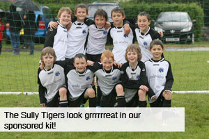 The Sully Tigers